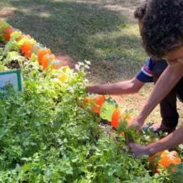 Agro na Escola une educação e prática no campo em Belo Oriente