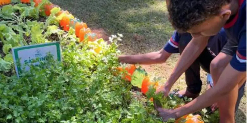 Agro na Escola une educação e prática no campo em Belo Oriente