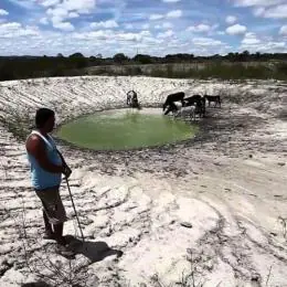 Agro sofre prejuízos de R$ 875 mi