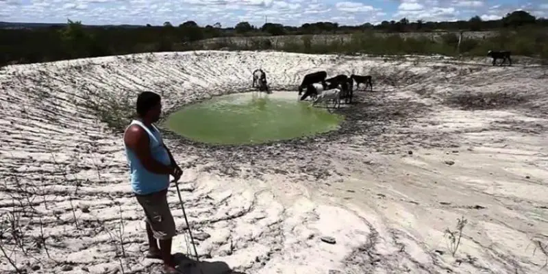 Agro sofre prejuízos de R$ 875 mi