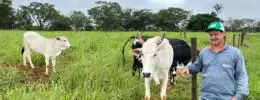 Agro + Verde recupera 3.300 hectares no oeste de Minas Gerais