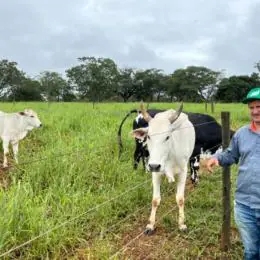 Agro + Verde recupera 3.300 hectares no oeste de Minas Gerais