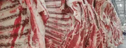 Brasil abre mercado para a carne bovina resfriada nas Filipinas