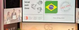 Brasil livre de febre aftosa sem vacinação
