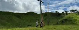 Eletrificação rural recebe investimentos