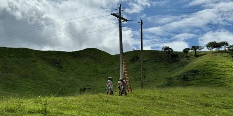 Eletrificação rural recebe investimentos