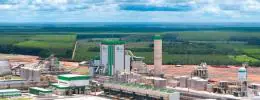 Fábrica impulsiona produção de celulose