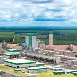 Fábrica impulsiona produção de celulose