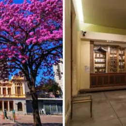 Feira da Estação realiza edição especial de Dia das Mães no SESI Museu de Artes e Ofícios