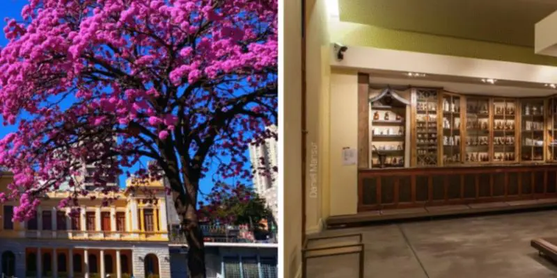 Feira da Estação realiza edição especial de Dia das Mães no SESI Museu de Artes e Ofícios