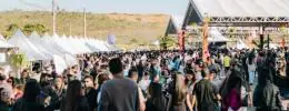 Festival faz sucesso em 13 municípios