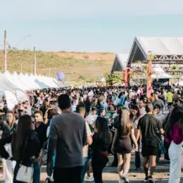 Festival faz sucesso em 13 municípios