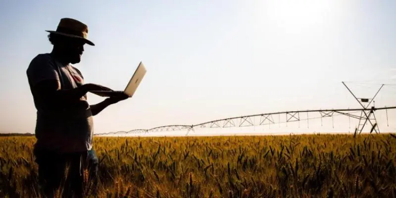 INAES celebra 18 anos dedicados ao fortalecimento do agro mineiro