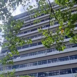 JF mantém boa gestão fiscal