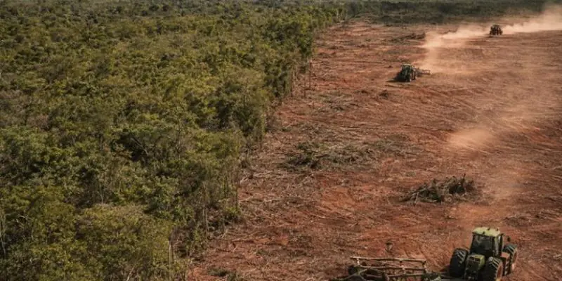 Operação investiga desmatamento do Norte