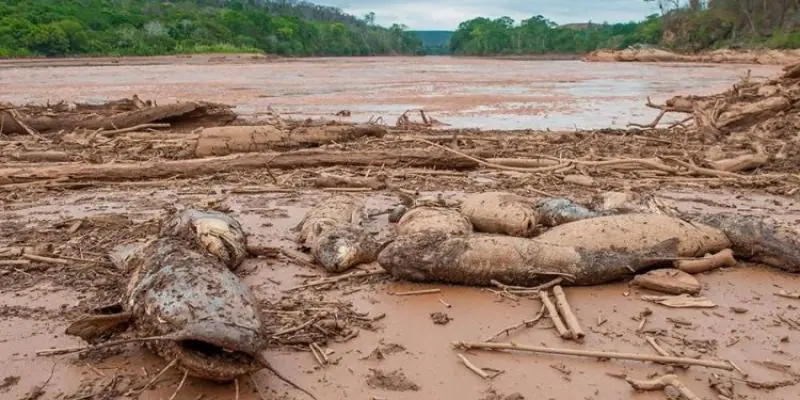 PIB de Valadares perdeu com desastre