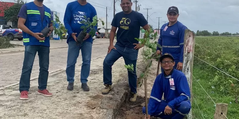 Prefeitura e Embasa começam novos plantios de árvores na cidade de Mucuri