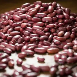 Produção de feijão cresce em Minas e sustenta liderança no Sudeste