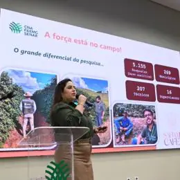 Safra de café em Minas Gerais deve alcançar 33,4 milhões de sacas em 2026