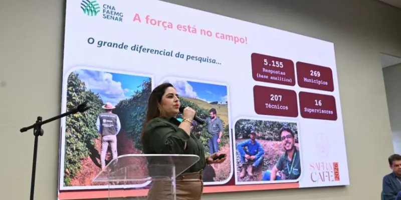 Safra de café em Minas Gerais deve alcançar 33,4 milhões de sacas em 2026