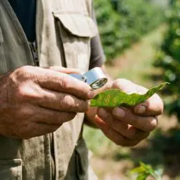 Senar Minas amplia catálogo com dois novos treinamentos