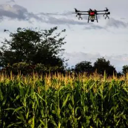 Senar Play bate recorde de matrículas e acessos em Minas Gerais