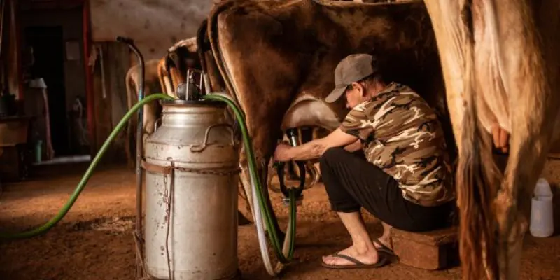 Setor leiteiro conquista avanço em processo antidumping