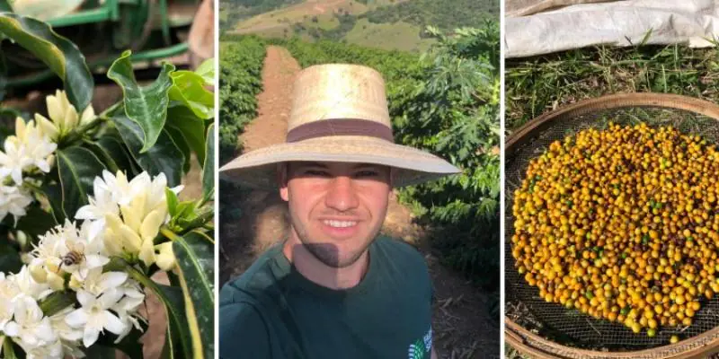 Sítio Cascalho: histórias de superação na cafeicultura