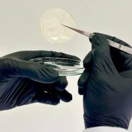 UFV cria curativo biodegradável